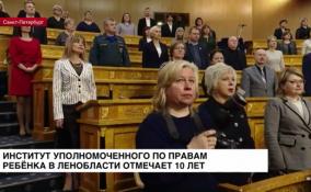 Институт уполномоченного по правам ребенка в Ленобласти отмечает 10 лет