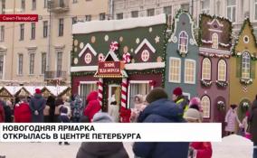 Новогодняя ярмарка открылась на Манежной площади в центре
Петербурга