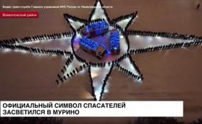 Официальный символ спасателей засветился в Мурино