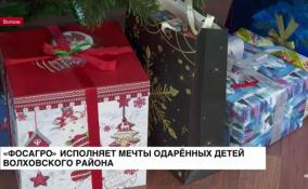 «ФосАгро» исполняет мечты одарённых детей Волховского района