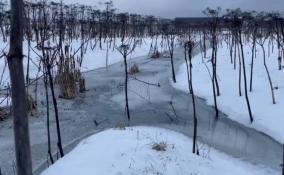 В реку Ижора сбрасывают загрязненные стоки