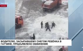 Водителю, засыпавшему снегом ребёнка в Гатчине, предъявлено обвинение