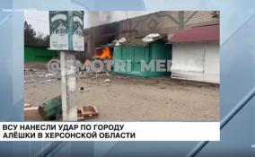 ВСУ нанесли удар по городу Алёшки в Херсонской области