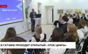 В Гатчине проходит открытый «Урок цифры»