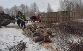 В лесопарке имени Петра Антипова в Волховском районе провели субботник