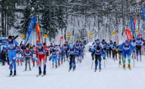 Лыжный марафон "ToksovoCup" открылся в Ленинградской области