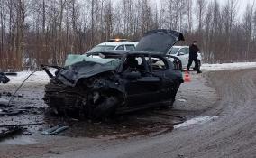 В результате массового ДТП под Гатчиной погибли двое человек, еще двое - пострадали