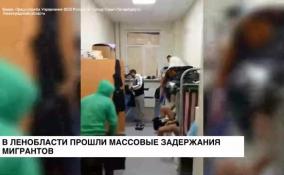 В Ленобласти прошли массовые задержания мигрантов