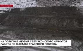 На полигоне «Новый Свет-Эко» скоро начнутся работы по высадке травяного покрова