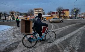 Туман, снег и до -12 градусов: погода в Ленобласти на 25 февраля