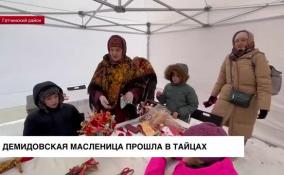 В Тайцах широко проводили Масленицу