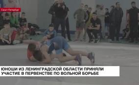 Юноши из Ленобласти приняли участие в первенстве по вольной борьбе