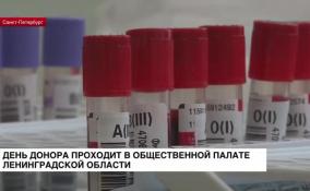 В Общественной палате Ленобласти проходит день донора