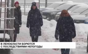 В Ленобласти борются с последствиями непогоды