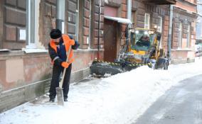 Пожилая жительница Петербурга попала в реанимацию после падения на скользкой дороге