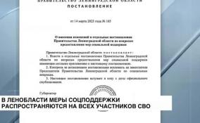 В Ленобласти меры социальной поддержки распространяются на семьи всех участников СВО вне зависимости от их статуса