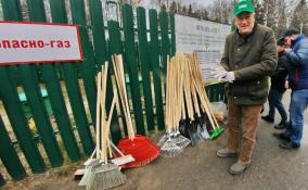 С 10 апреля парки и скверы Ленобласти начнут приводить в порядок после зимы