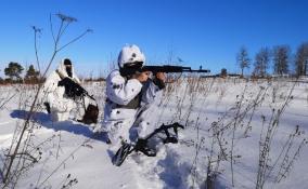 На полигоне в Ленобласти росгвардейцы расправились с условными диверсантами