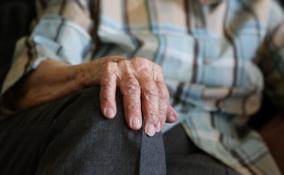 В Тосно пьяный внук жестоко избил свою 77-летнюю бабушку