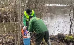 Росприроднадзор взял пробы воды из рек Нейма и Хревица, в которых нашли мертвую форель