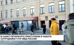 Опубликовано видео допроса Дарьи Треповой