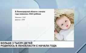 Более трех тысяч детей родилось в Ленобласти с начала года