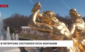 В Петергофе состоялся пуск фонтанов