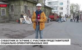 В Гатчине проходит субботник с участием социально-ориентированных НКО