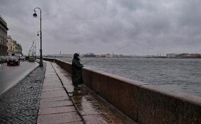 В четверг в Петербурге будет холодно, ветрено и дождливо