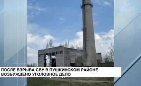 По факту взрыва неустановленного устройства в Пушкинском районе возбуждено уголовное дело