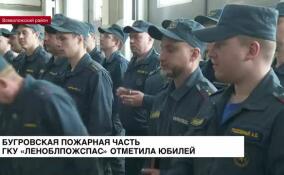 В поселке Бугры самая молодая пожарная часть ГКУ «Леноблпожспаса» отметила юбилей