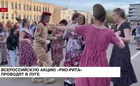 Всероссийскую акцию «Рио-Рита» проводят в Луге