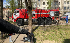 В Сертолово из горящей квартиры спасли ребенка, троих взрослых, двух собак и кошку