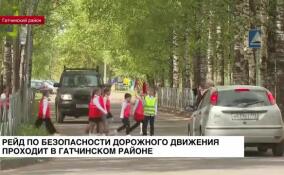 Рейд по безопасности дорожного движения проходит в Гатчинском районе