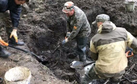 В парке «Сильвия» в Гатчине поисковики подняли останки 18-ти расстрелянных мирных жителей и военнопленных