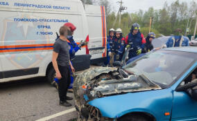 За неделю спасатели пришли на помощь жителям Ленобласти 14 раз