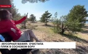 «Мусорная мафия» очистила пляж в Сосновом Бору