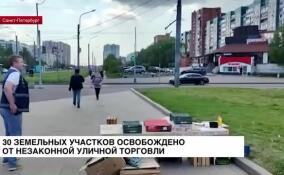 30 земельных участков в Петербурге освобождено от незаконной уличной торговли