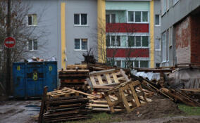 Две нелегальные свалки обнаружили в поселке Тайцы