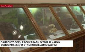 В СПбГУ палеонтологи рассказали, как по костям динозавров определить возраст и климатические условия их обитания