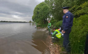 Следователи и прокуратура работают на месте возможного сброса стоков в Неву в Отрадном