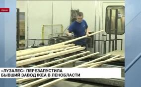 «Лузалес» перезапустила бывший завод IKEA в Ленобласти