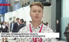 Торгово-промышленная палата Ленобласти на ПМЭФ-2023 в Петербурге