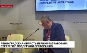 Ленобласть первой разработала стратегию поддержки сектора НКО