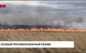 Лужский район Ленобласти перешел на особый противопожарный режим