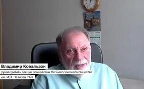 «Мы уже всё это проходили»: эксперт сомневается в эффективности перехода на летнее время