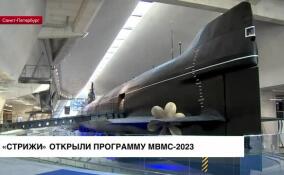 «Стрижи» открыли программу МВМС-2023