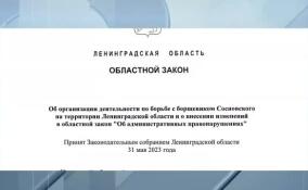 За разросшийся борщевик теперь можно получить штраф от муниципалитета