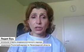 Лидия Буц рассказала, грозит ли чума 47-му региону