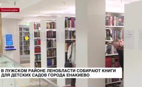 В Лужском районе Ленобласти собирают книги для детских садов Енакиево